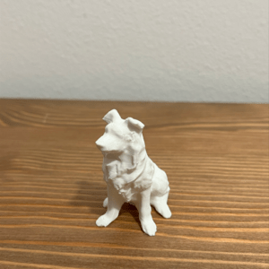 Ausztrál terrier kutya