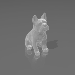 Francia bulldog (Frenchie) kutya